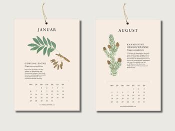 Calendrier 2025 "Arbres" - calendrier botanique | Herbier || COEUR et PAPIER 2