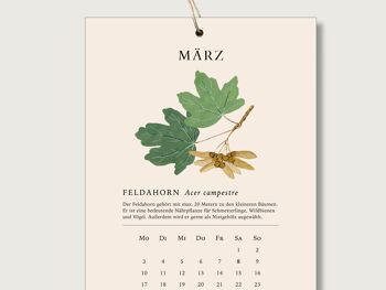 Calendrier 2025 "Arbres" - calendrier botanique | Herbier || COEUR et PAPIER 3