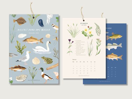 Kalender 2025 - Vielfalt rund ums Wasser | Monatskalender | Wandkalender | Meer | Gewässer | Wasser | Natur | Illustration|| HERZ & PAPIER