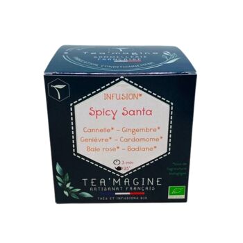 Spicy Santa BIO Infusion d'épice 16