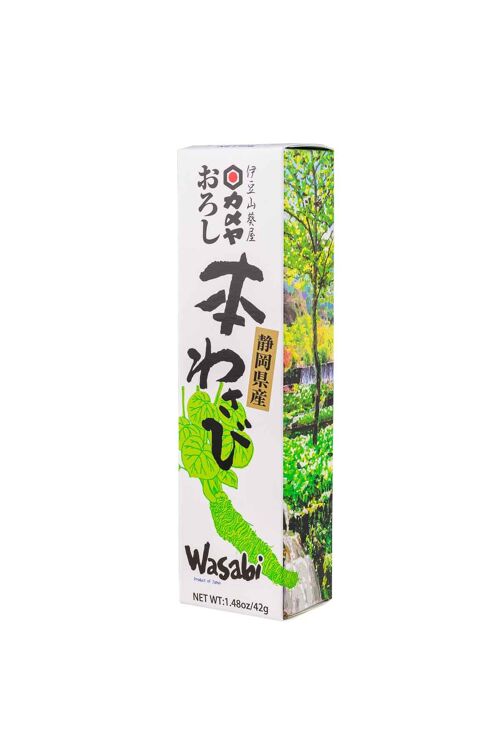 Wasabipaste aus echtem Wasabi – Tube 42g