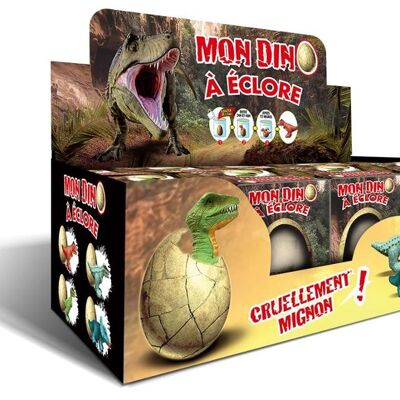 EXHIBICIÓN DE 8 HUEVOS PARA Eclosionar EX DINOSAURIO