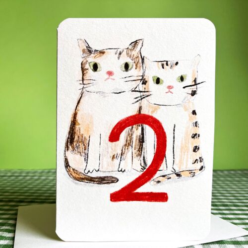 Two Today Cats Birthday Card