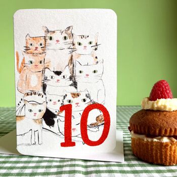 Carte d'anniversaire dix chats aujourd'hui