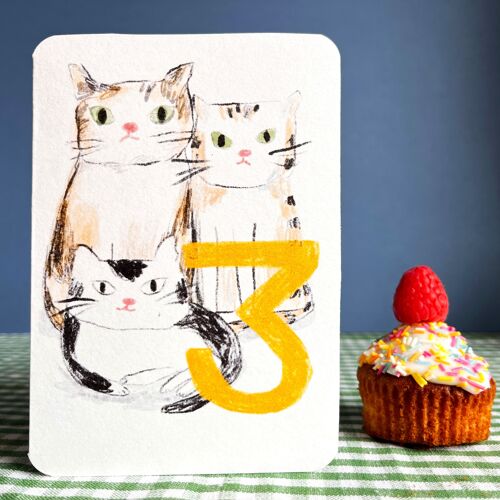 Three Today Cats Birthday Card