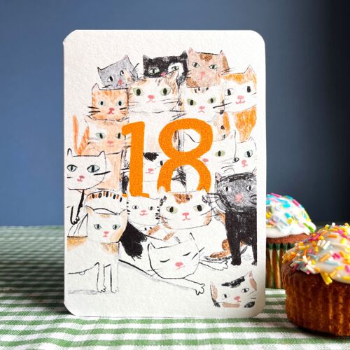Eighteen Today Cats Birthday Card
