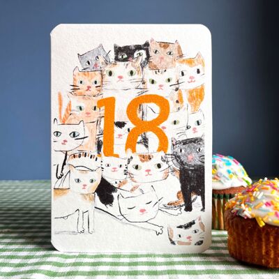 Eighteen Today Katzen-Geburtstagskarte