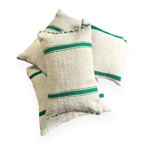 ATLAS GREEN Striped Cushion Collection