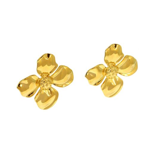 Boucles d'oreilles acier Brienne