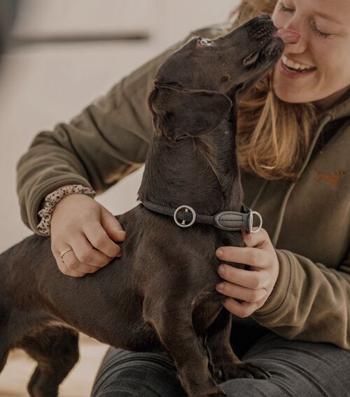 Hoodie mit Dackel-Stick