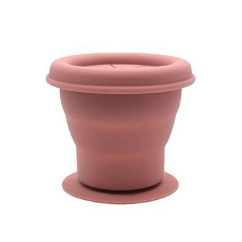 Snackpot silicone vieux rose 1