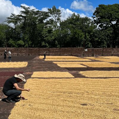 Kaffee des Augenblicks – Salvador – Valle De Oro – 225 g Getreide