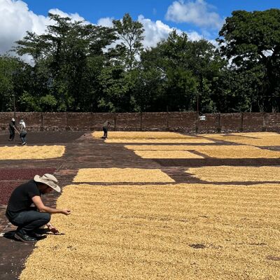 Caffè del Momento - Salvador - Valle De Oro - 225g Macinato