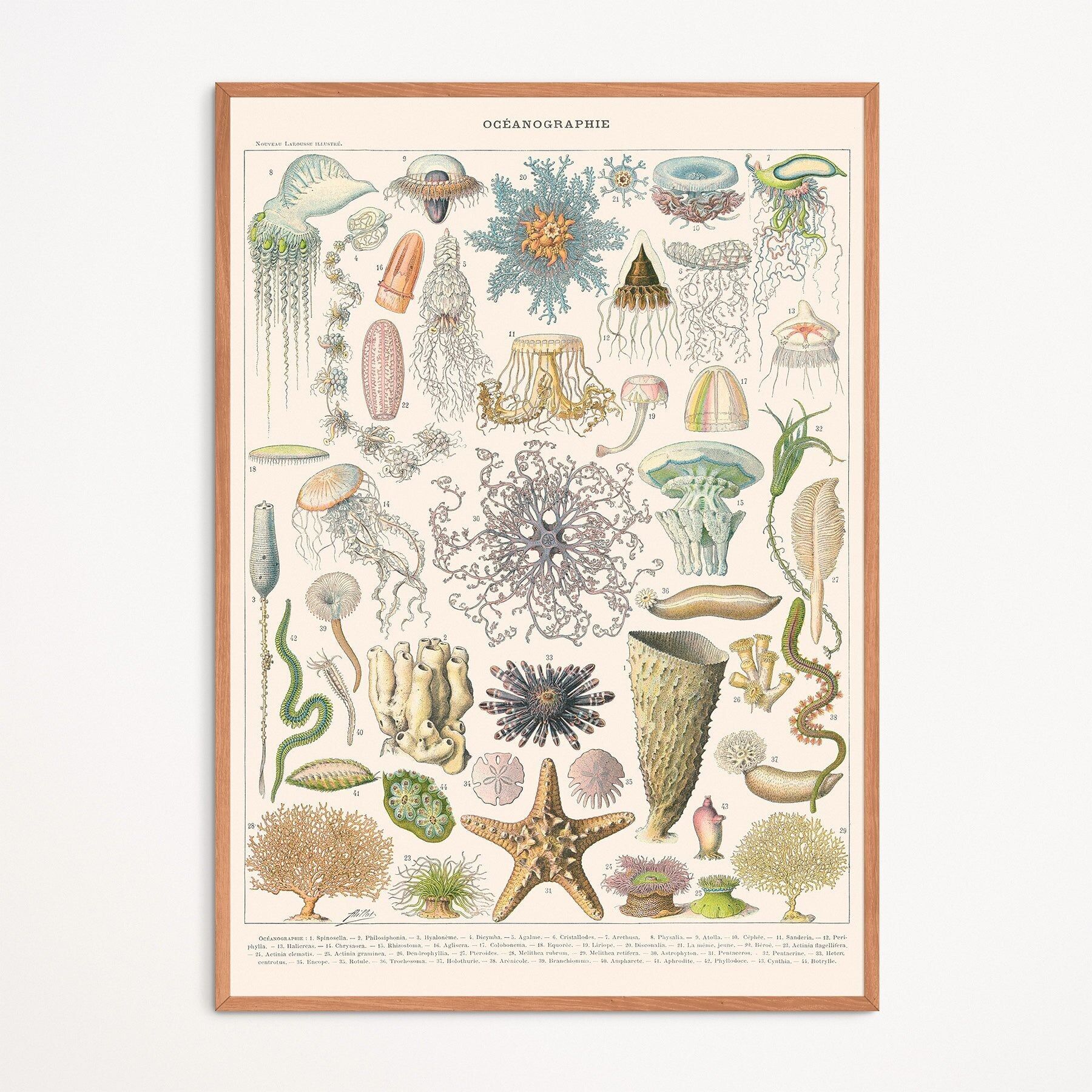 Poster: Oceanografia