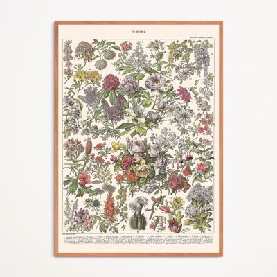 Poster: Blumen II