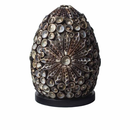 BBSL-06 - Boho Sea Shell Lamp - Chocolate Twist Oval - 15cm - Sold in 1x unit/s per outer