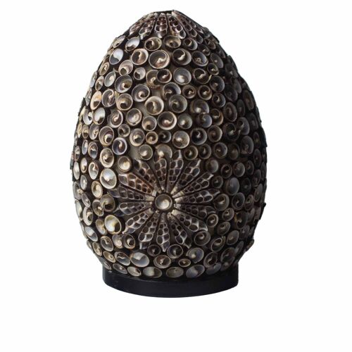 BBSL-07 - Boho Sea Shell Lamp - Chocolate Twist Oval - 20cm - Sold in 1x unit/s per outer