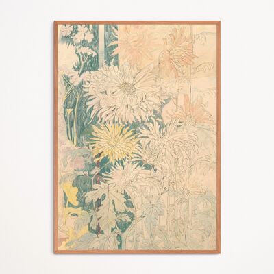 Poster: Chrysanthemen