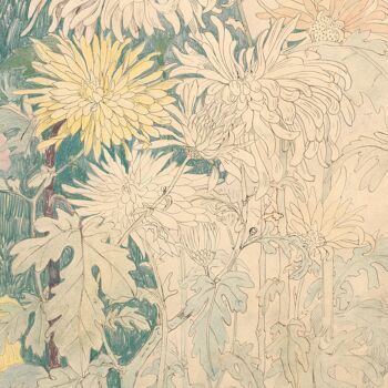 Affiche : Chrysanthèmes 4