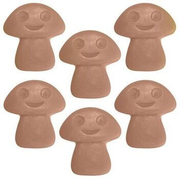 BNWmelt-12 - Big Pack Nat-Wax Melts - Old Ginger - Vendu en 40x unité/s par extérieur