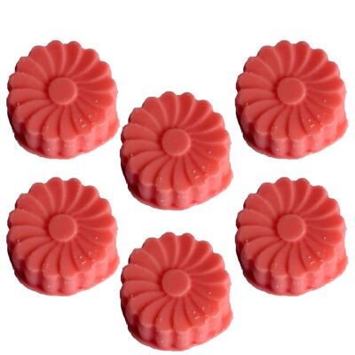 BNWmelt-13 - Big Pack Nat-Wax Melts - Anguria fresca - Venduto in 36 unità/s per esterno