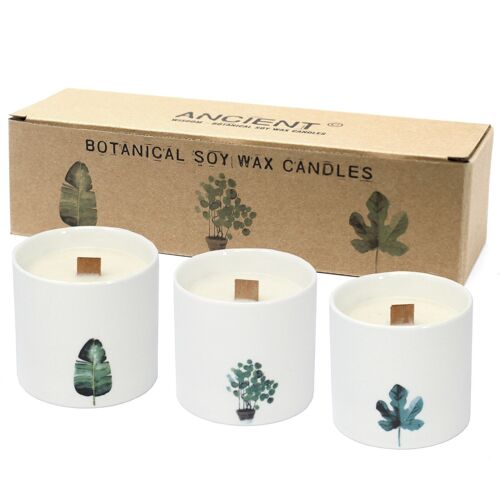 BotC-06 - Large Botanical Candles - Marsh Violet - Sold in 3x unit/s per outer