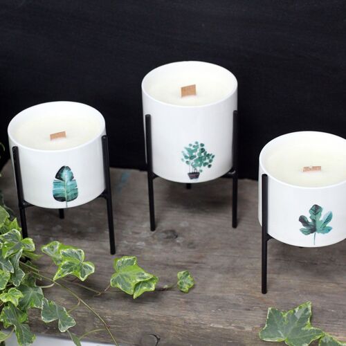 BotC-ST - Botanical Candles - Starter Set - Sold in 1x unit/s per outer