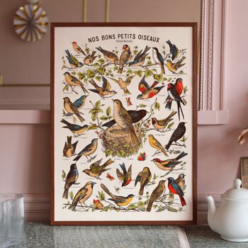 Affiche : Nos Bons Petits Oiseaux 2