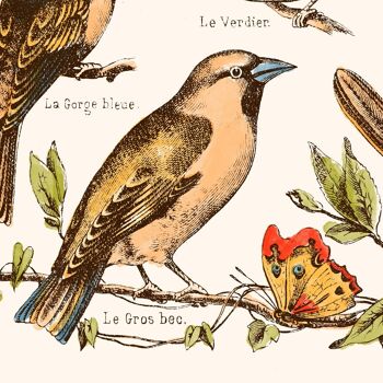 Affiche : Nos Bons Petits Oiseaux 4