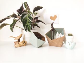 Boîtes origami chêne scandinave / vert amande 1