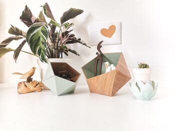 Boîtes origami chêne scandinave / vert amande 2