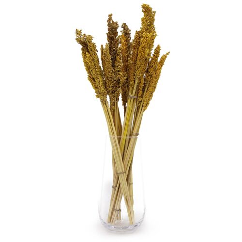 CGB-02 - Sorghum Grass Bunch - Amber - Sold in 6x unit/s per outer