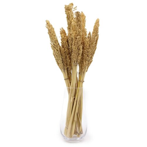 CGB-01 - Sorghum Grass Bunch - Natural - Sold in 6x unit/s per outer