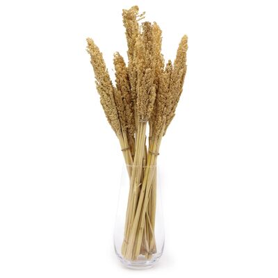 CGB-01 - Manojo de hierba de sorgo - Natural - Se vende en 6 unidades por exterior