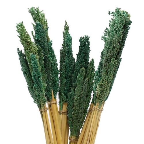 CGB-08 - Sorghum Grass Bunch - Teal - Sold in 6x unit/s per outer
