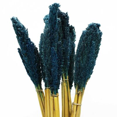 CGB-09 - Sorghum-Grasbündel - Blau - Verkauft in 6x Einheit/en pro Umkarton