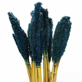 CGB-09 - Bouquet d'herbe de sorgho - Bleu - Vendu en 6x unité/s par extérieur 1
