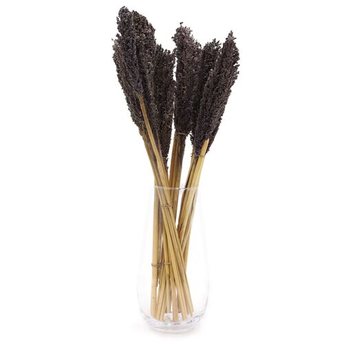 CGB-10 - Sorghum Grass Bunch - Black - Sold in 6x unit/s per outer