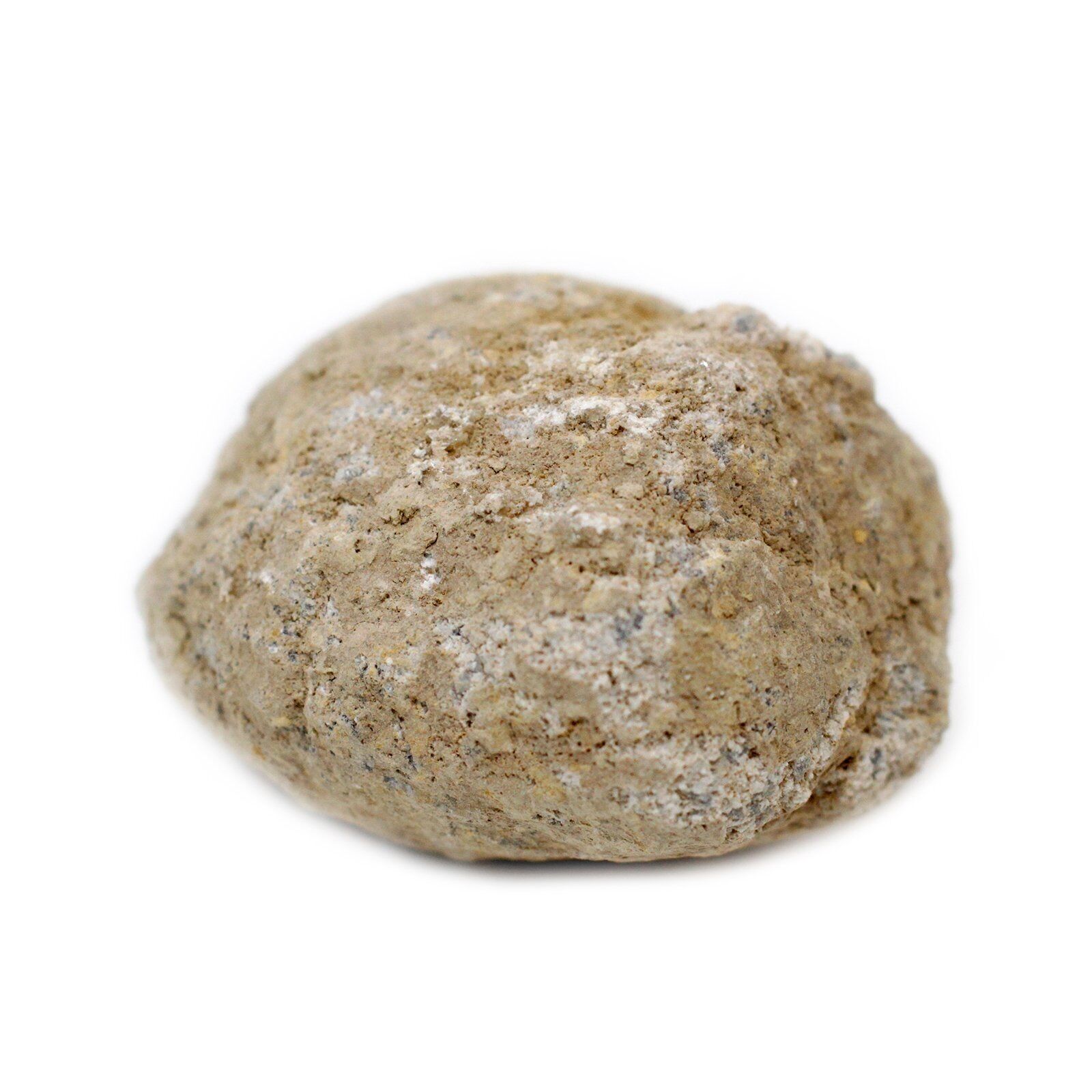 CGeo-05 - Ungeöffnete Goedes 8-10 cm - Verkauft in 1x Einheit/en pro Umkarton