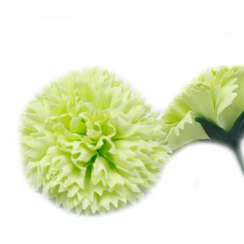 CSFH-45 - Fleurs de savon artisanales - Oeillets - Citron vert - Vendu en 50x unité/s par extérieur 3