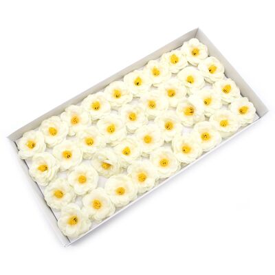 CSFH-72 - Flor de Jabón Artesanal - Camelia - Crema - Vendido a 36x unidad/es por exterior