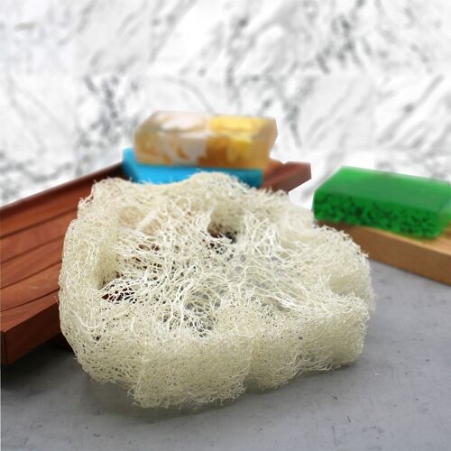 ELLoofah-06 - Egyptian Luxury Loofah with Cotton String - Non-Compressed - 2cm - Sold in 10x unit/s per outer