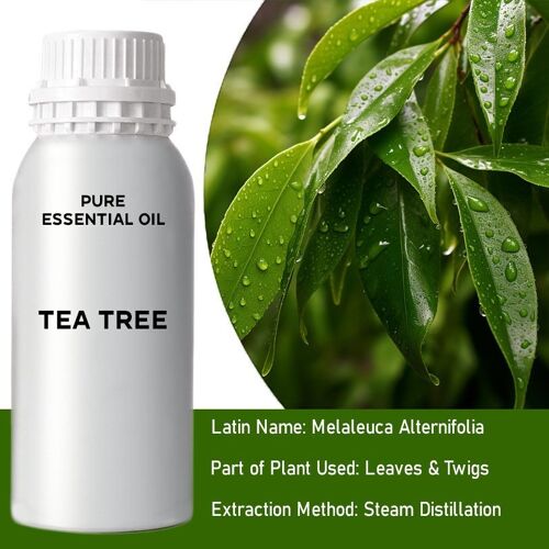 EOB-02 - Tea Tree Essential Oil - Bulk - 0.5Kg - Sold in 1x unit/s per outer