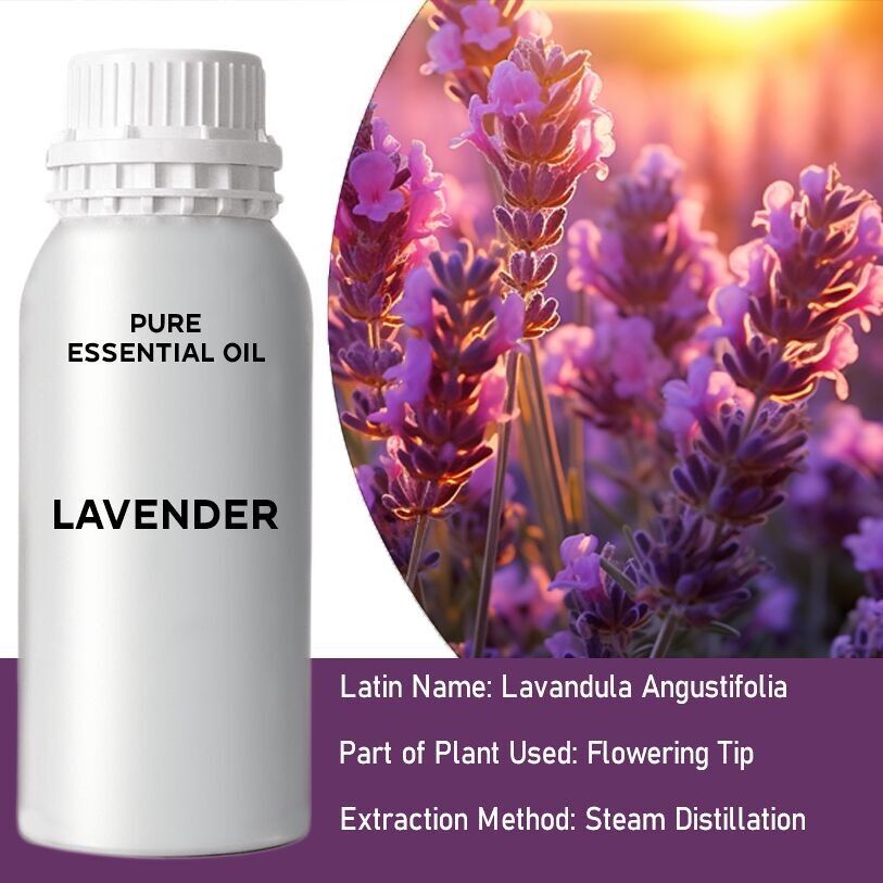 EOB-01 - Lavender Essential Oil - Bulk - 0.5Kg - Sold in 1x unit/s per outer