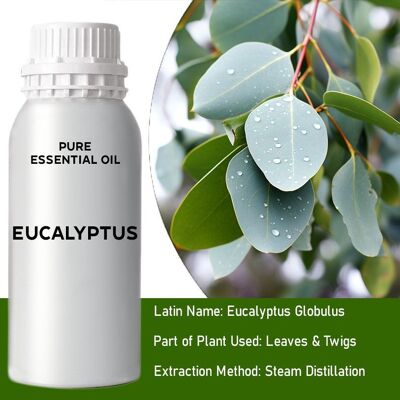 EOB-03 – Ätherisches Eukalyptusöl – Großpackung – 0.5 kg – Verkauft in 1x Einheit/en pro Außenverpackung