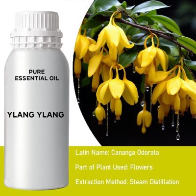 EOB-06 - Aceite esencial de Ylang Ylang 1 - A granel - 0.5Kg - Vendido en 1x unidad/s por exterior