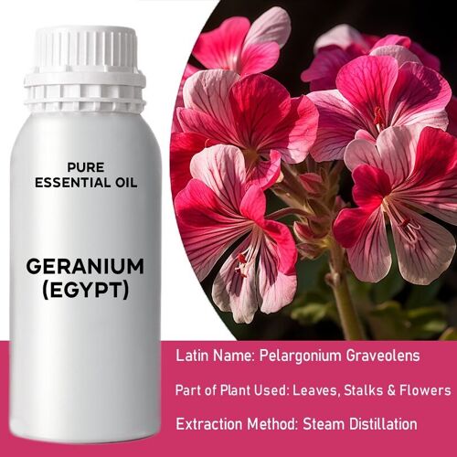 EOB-08 - Geranium (Egypt) Essential Oil - Bulk - 0.5Kg - Sold in 1x unit/s per outer