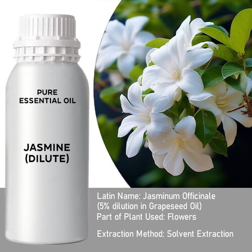 EOB-11 - Jasmine Dilute Essential Oil - Bulk - 0.5Kg - Sold in 1x unit/s per outer