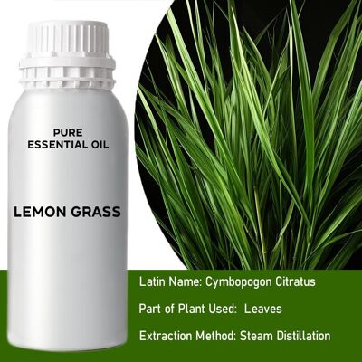 EOB-28 - Olio essenziale di citronella - Sfuso - 0.5Kg - Venduto in 1x unità/e per esterno