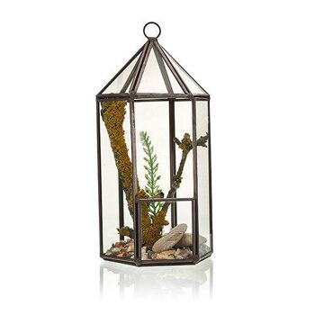 GTer-03 - Terrarium en verre - Forme de lanterne - Vendu en 1x unité/s par extérieur 2